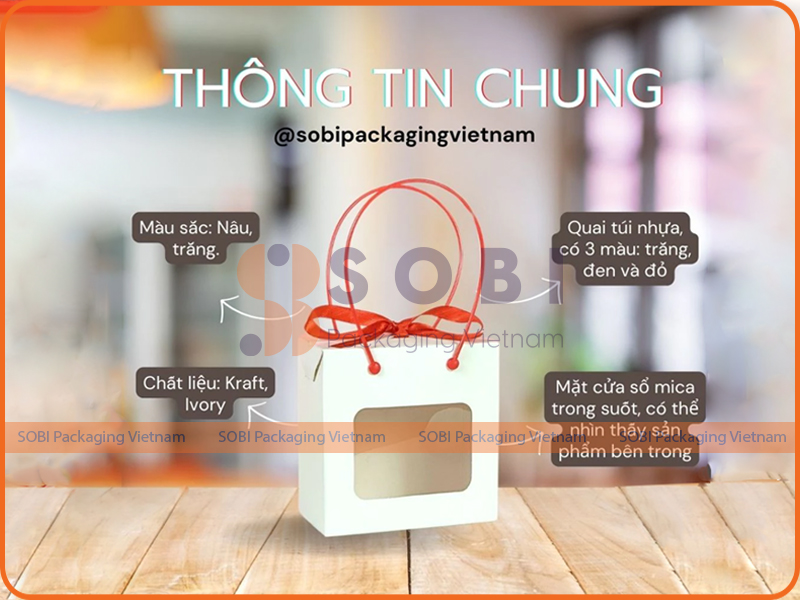 Túi hộp giấy CSH